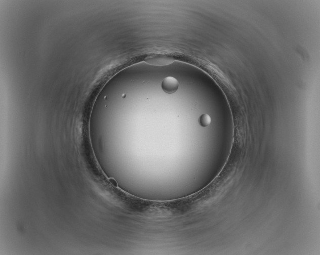 X0000115680207200911121253