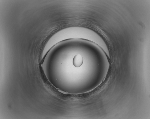 X0000115680209200911121253