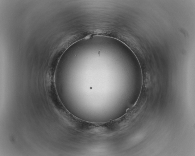 X0000115680210200911121253