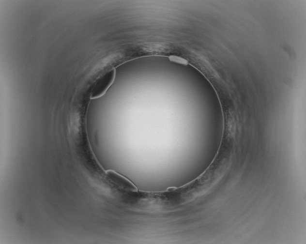 X0000115680211200911121253