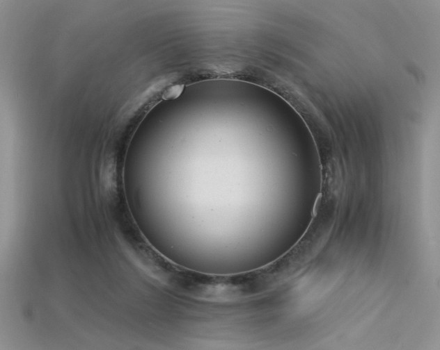 X0000115680212200911121253