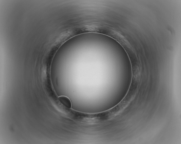 X0000115680213200911121253