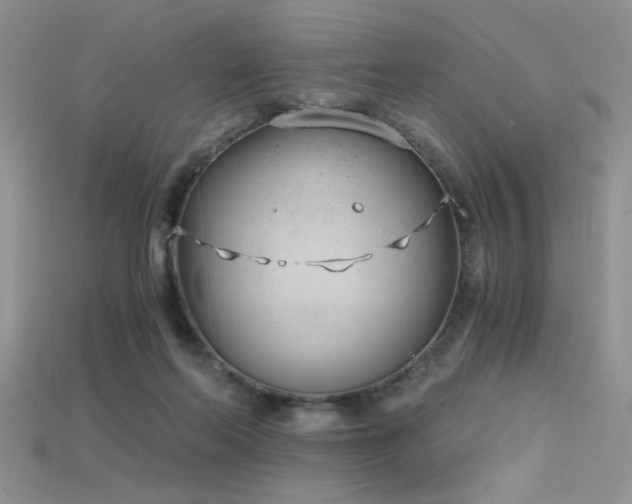 X0000115680214200911121253