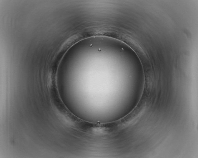 X0000115680216200911121253