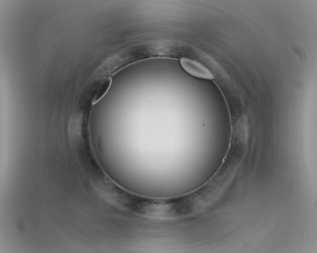 X0000115680217200911121253