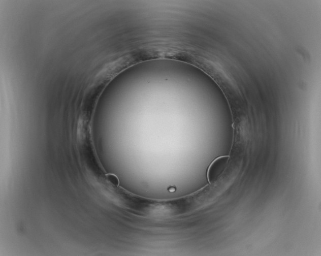 X0000115680218200911121253