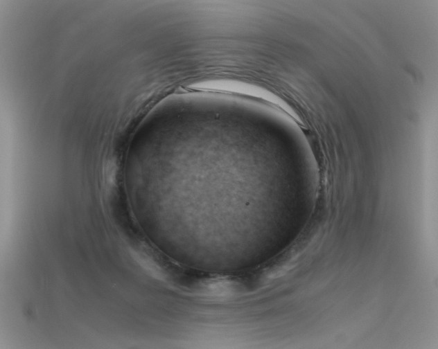 X0000115680219200911121253