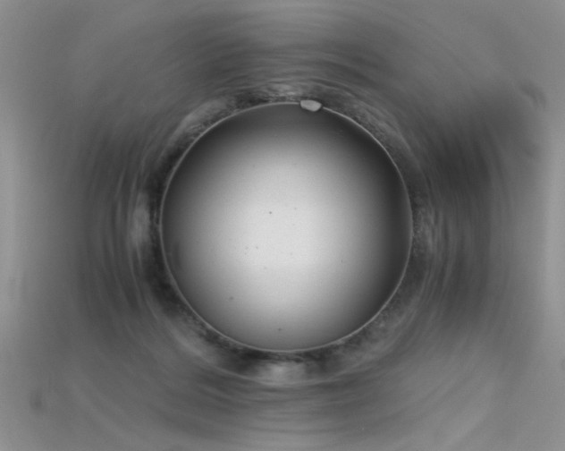 X0000115680220200911121253