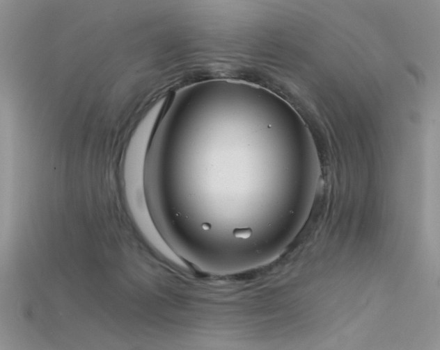 X0000115680221200911121253