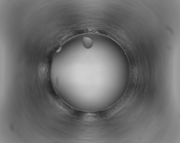 X0000115680222200911121253