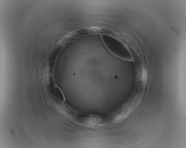 X0000115680223200911121253