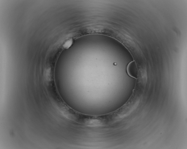 X0000115680224200911121253