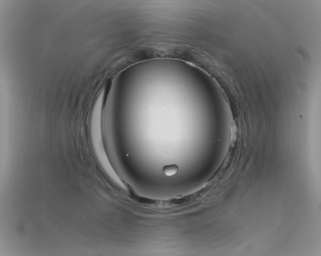 X0000115680225200911121253