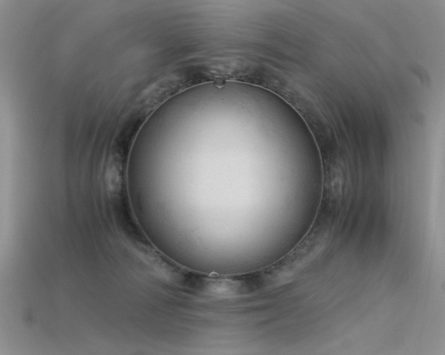 X0000115680226200911121253