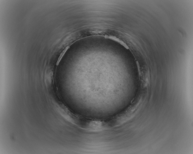 X0000115680227200911121253