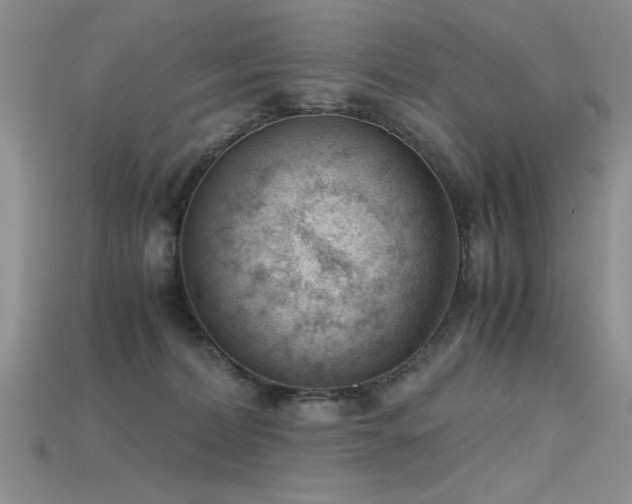 X0000115680228200911121253