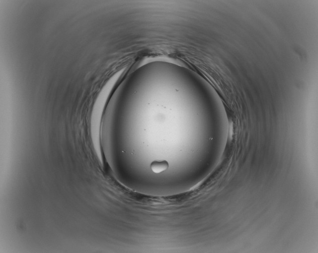 X0000115680229200911121253