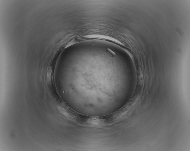 X0000115680231200911121253