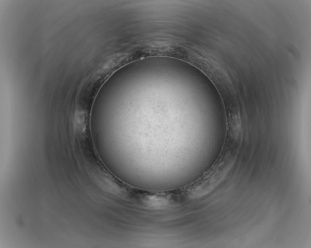 X0000115680232200911121253