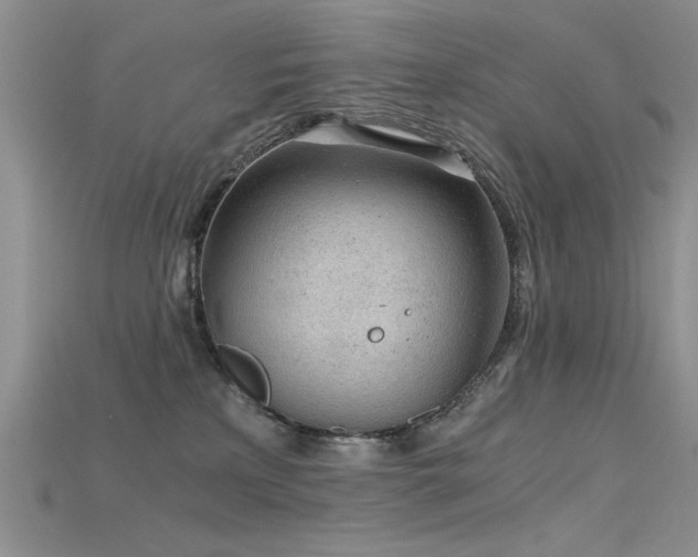 X0000115680233200911121253