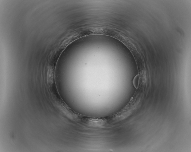 X0000115680234200911121253