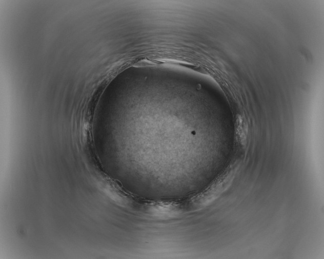 X0000115680235200911121253