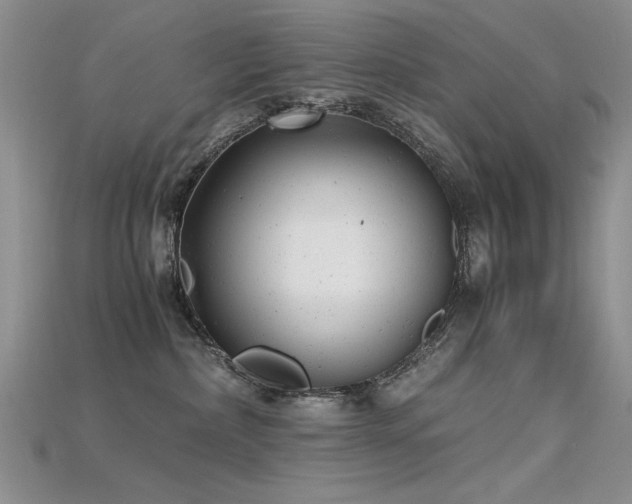 X0000115680236200911121253