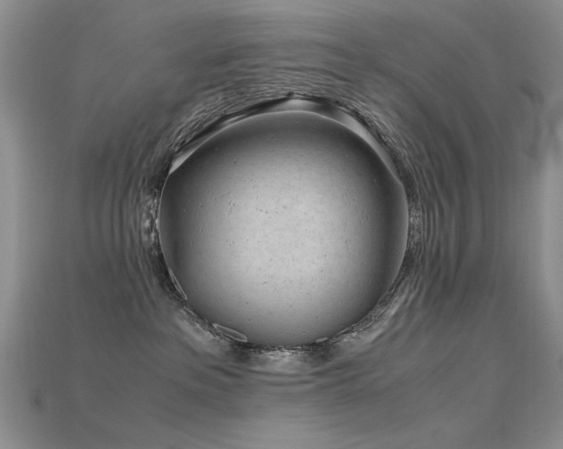 X0000115680237200911121253