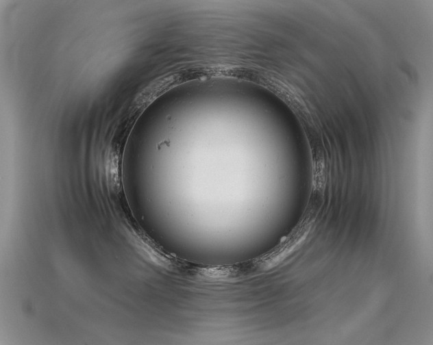 X0000115680238200911121253