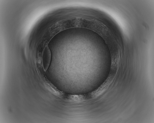 X0000115680239200911121253