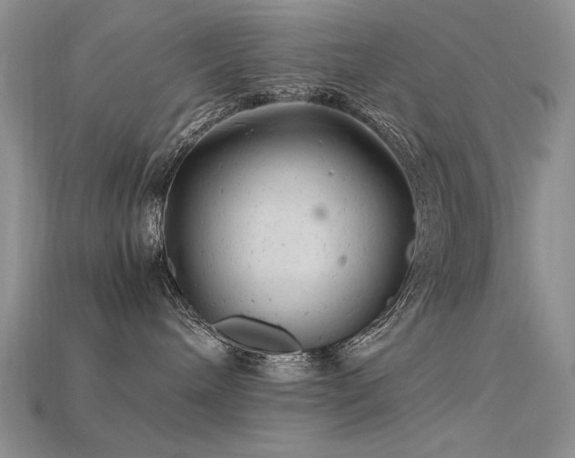 X0000115680240200911121253