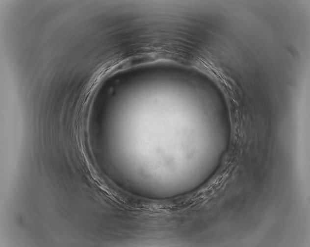 X0000115680241200911121252