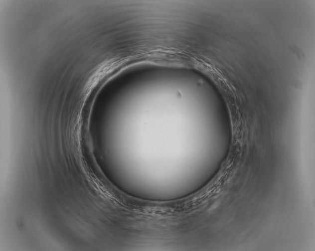 X0000115680242200911121252