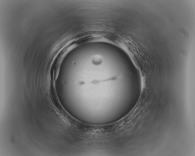 X0000115680243200911121252