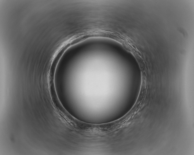 X0000115680244200911121252