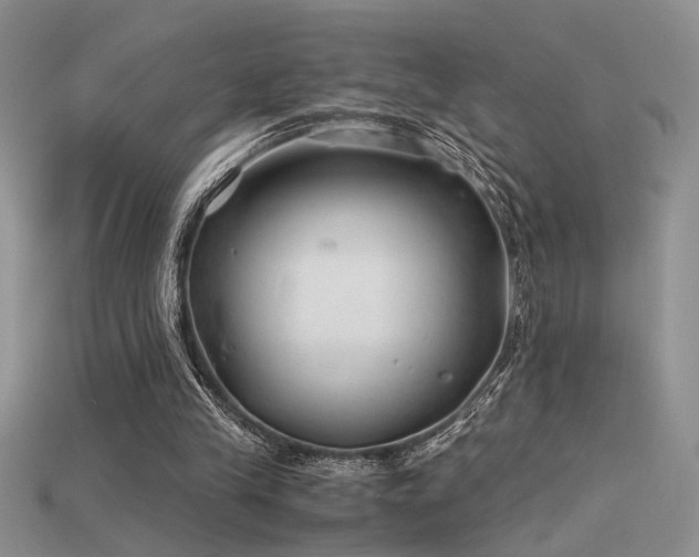 X0000115680245200911121252