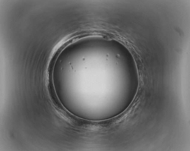 X0000115680246200911121252