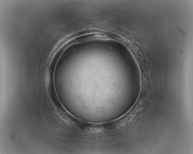 X0000115680247200911121252