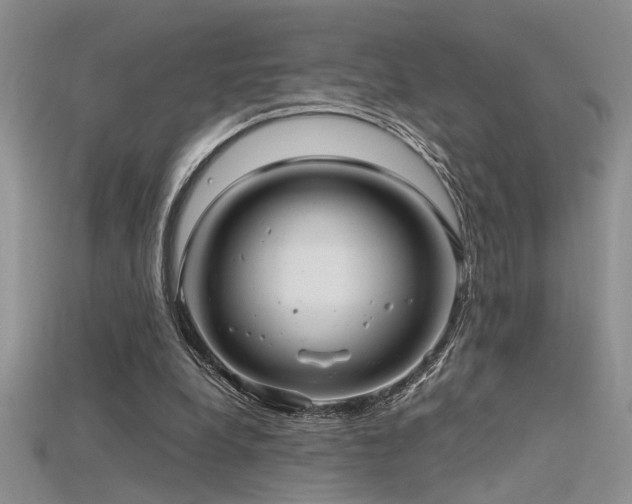 X0000115680248200911121252