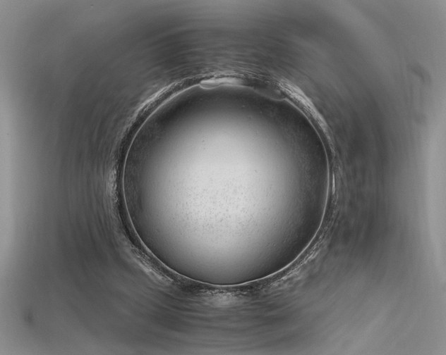 X0000115680249200911121252