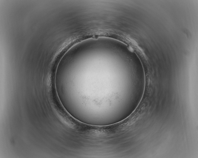 X0000115680250200911121252