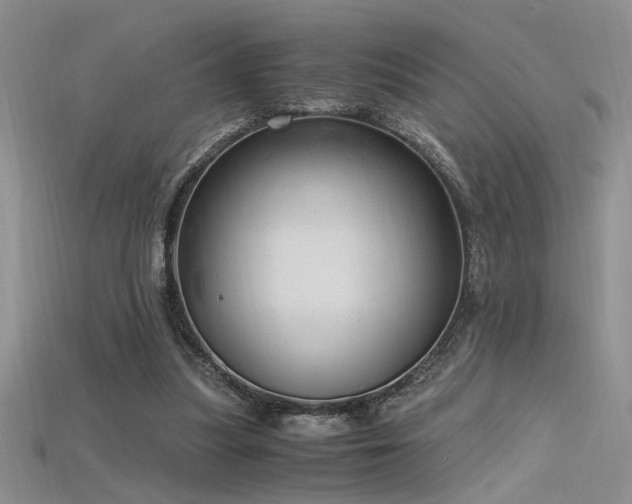 X0000115680251200911121252