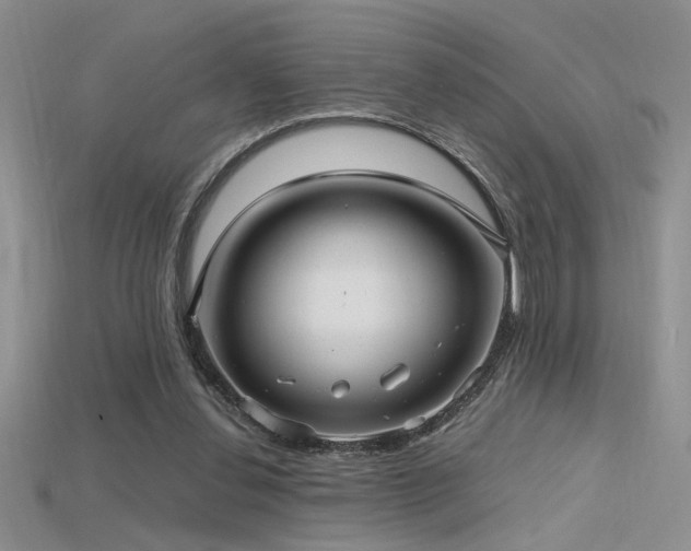 X0000115680252200911121252