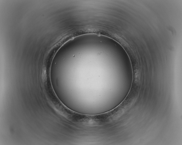 X0000115680254200911121252