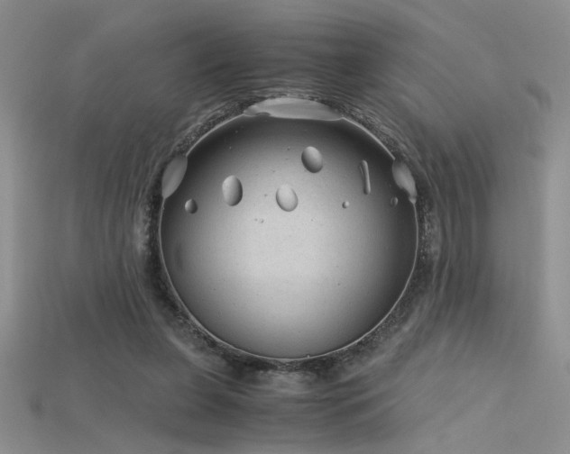 X0000115680255200911121252