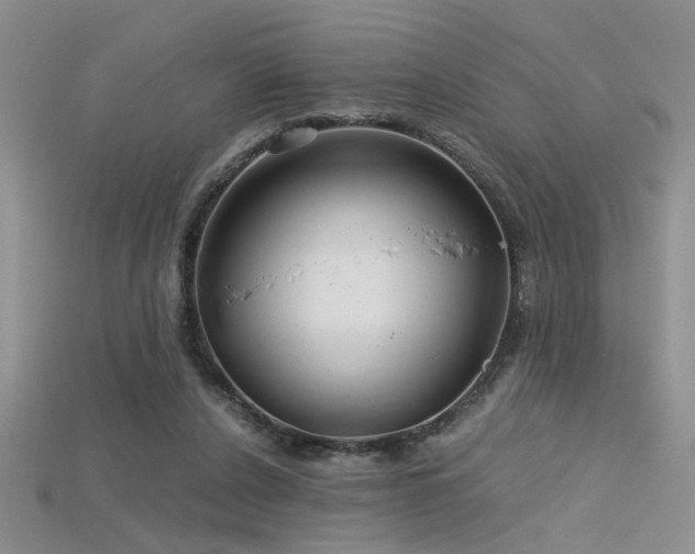 X0000115680256200911121252