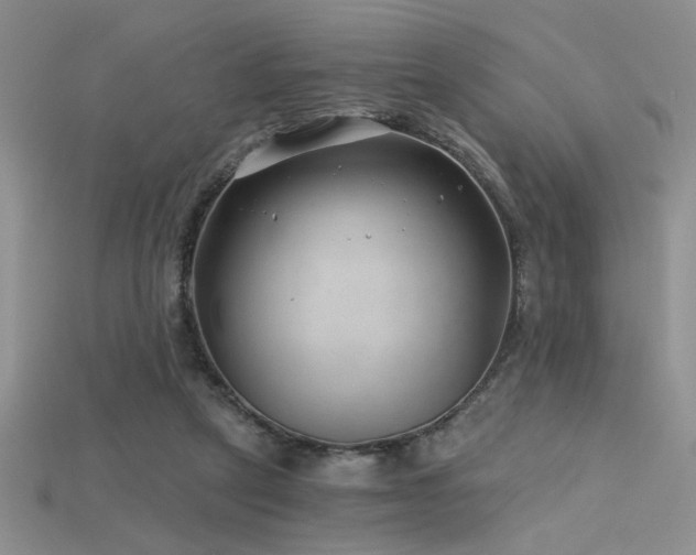 X0000115680257200911121252