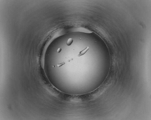 X0000115680258200911121252