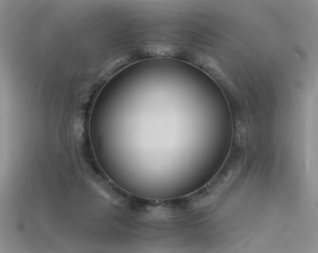 X0000115680259200911121252