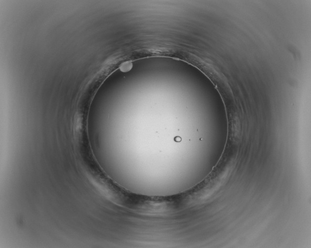 X0000115680260200911121252